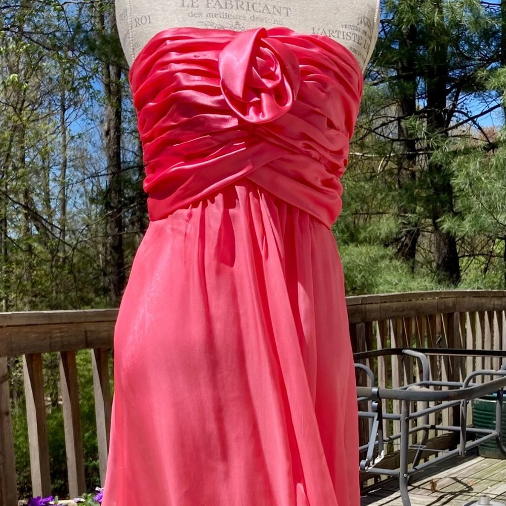 Jessica McClintock Gown